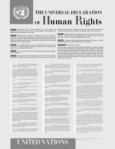 udhr