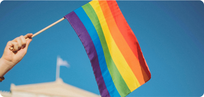 Person holding a rainbow flag in the air