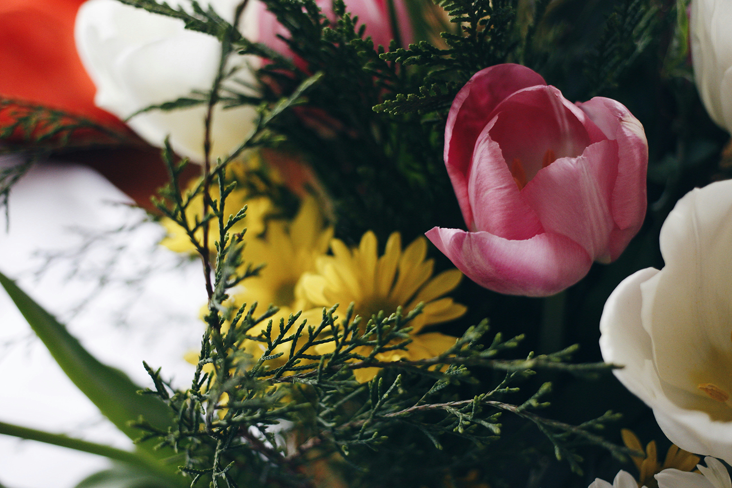 flowers in honor of Mother's Day